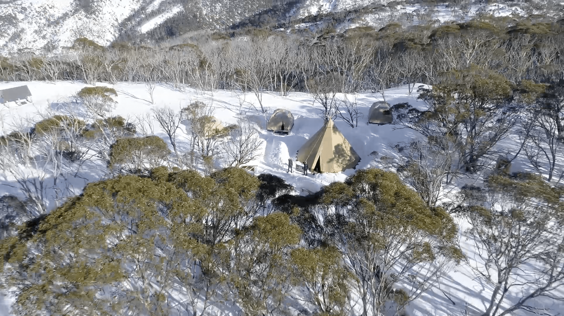 snow-dome-campaign-case-study-
