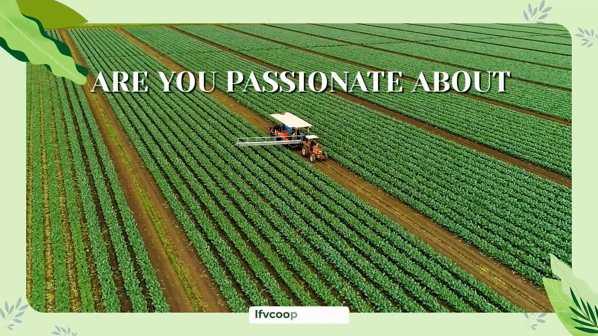 Lockyer-Valley-Foods-Coop