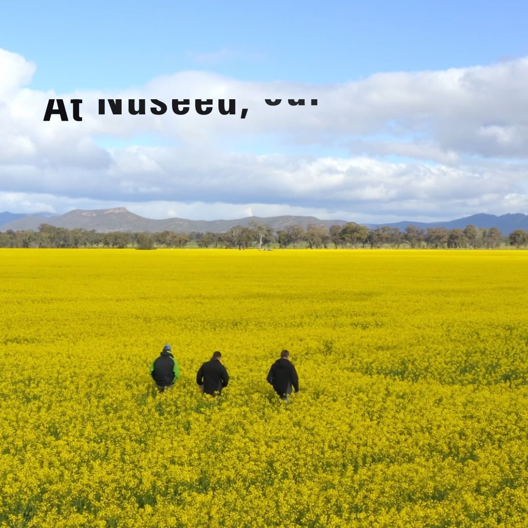 Nuseed-Brand-Online-Ad