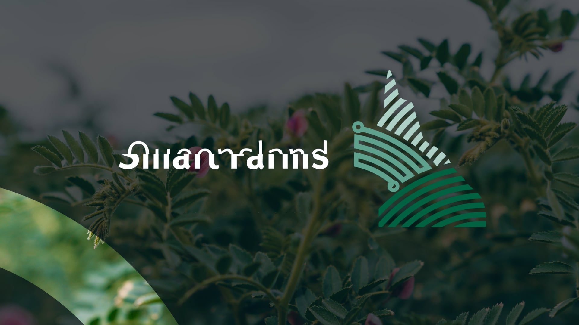 Queensland-Smart-Farms