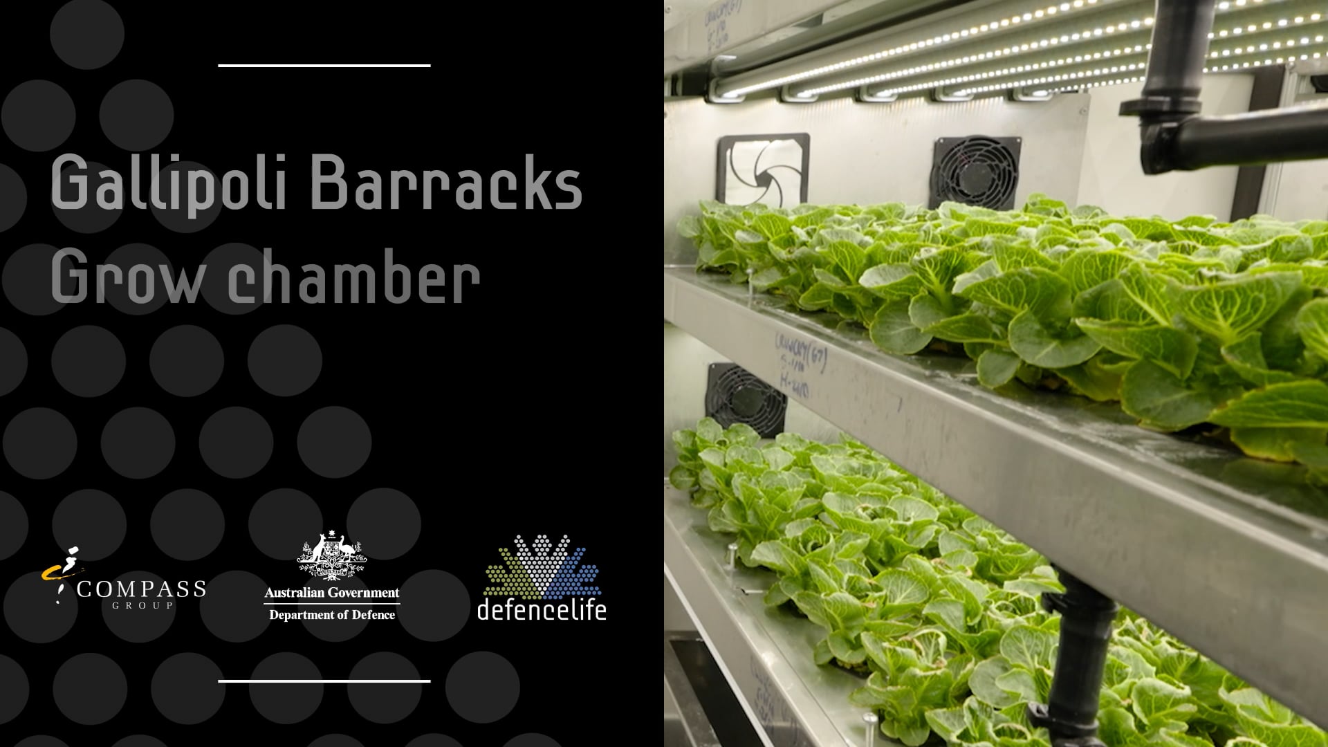 Compass-Group-Growing-Chamber