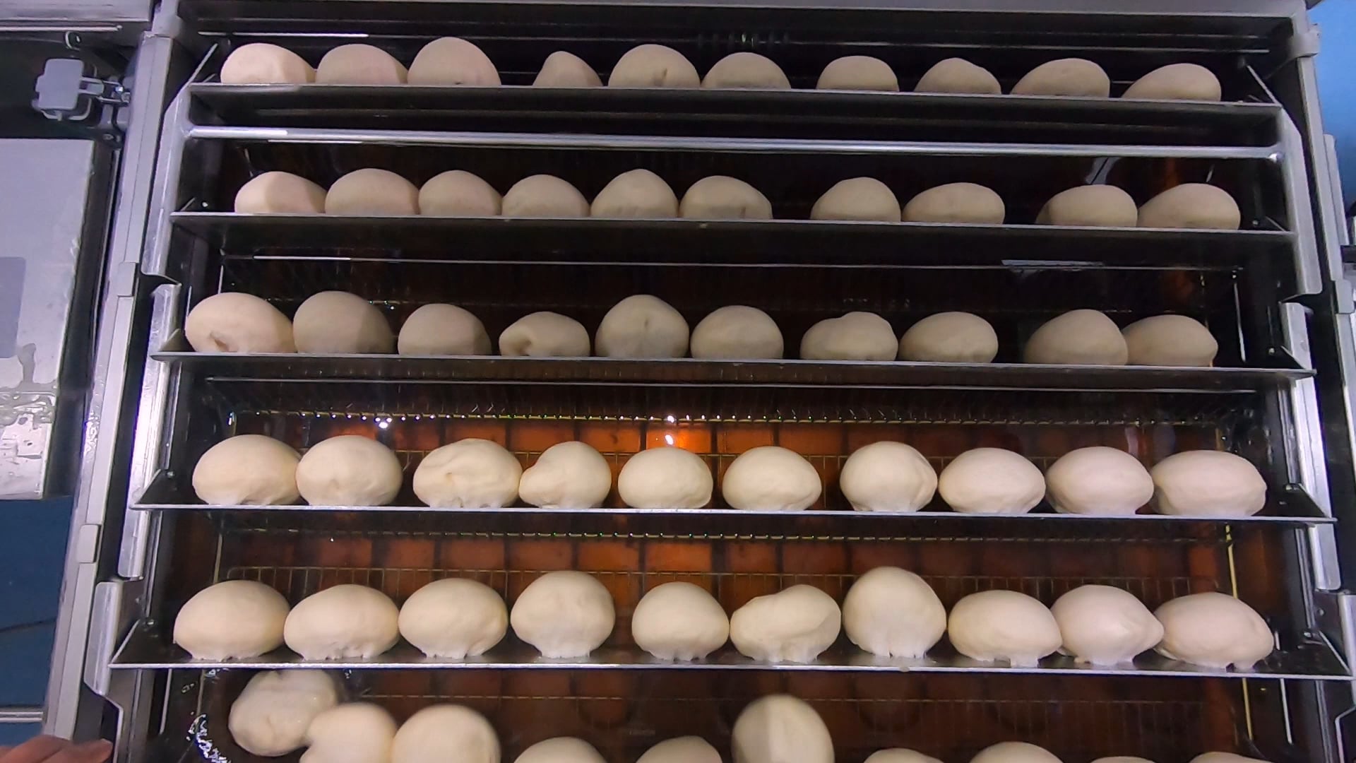 Ferguson-Plarre-Doughnuts