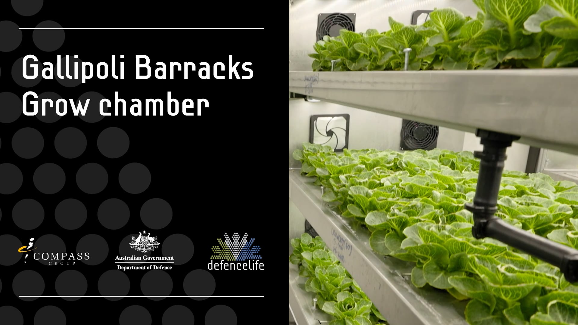 Compass-Group-Growing-Chamber