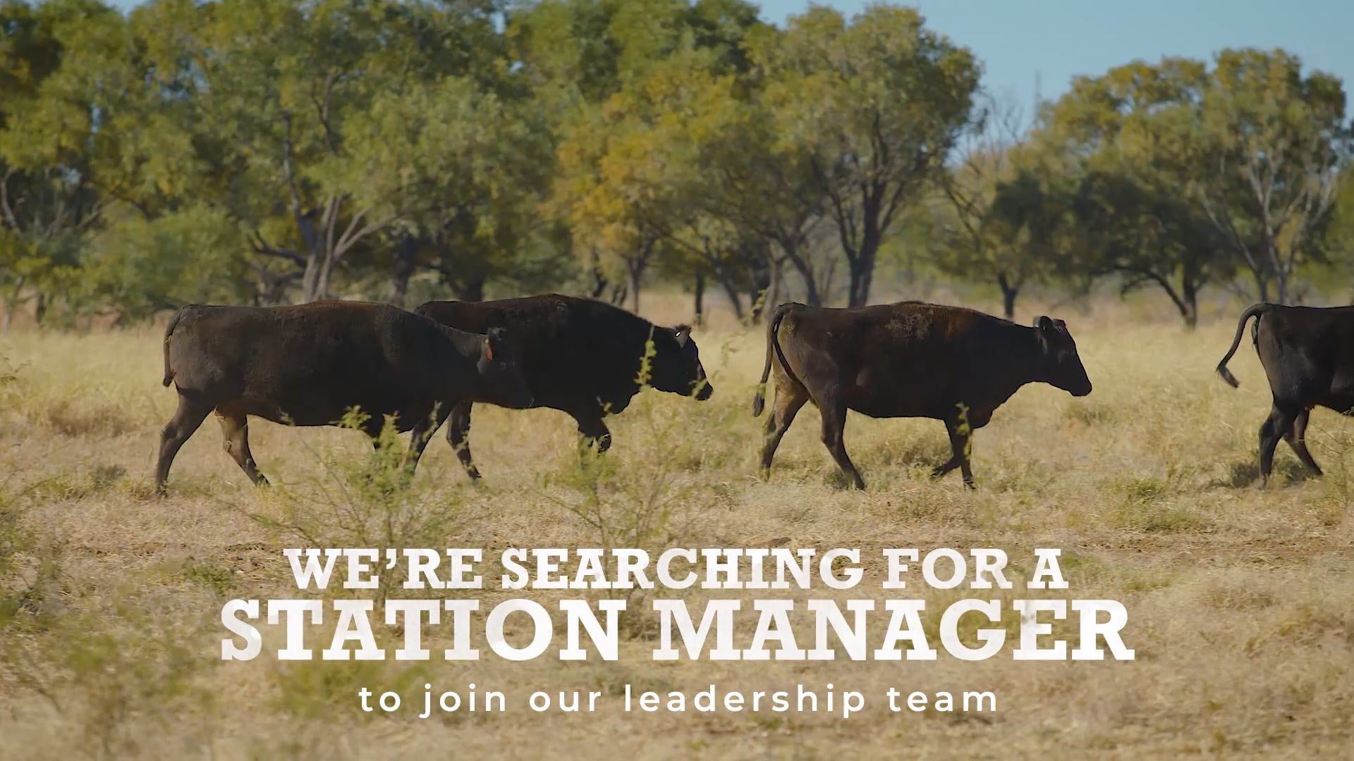 Stanbroke-Become-a-Station-Manager