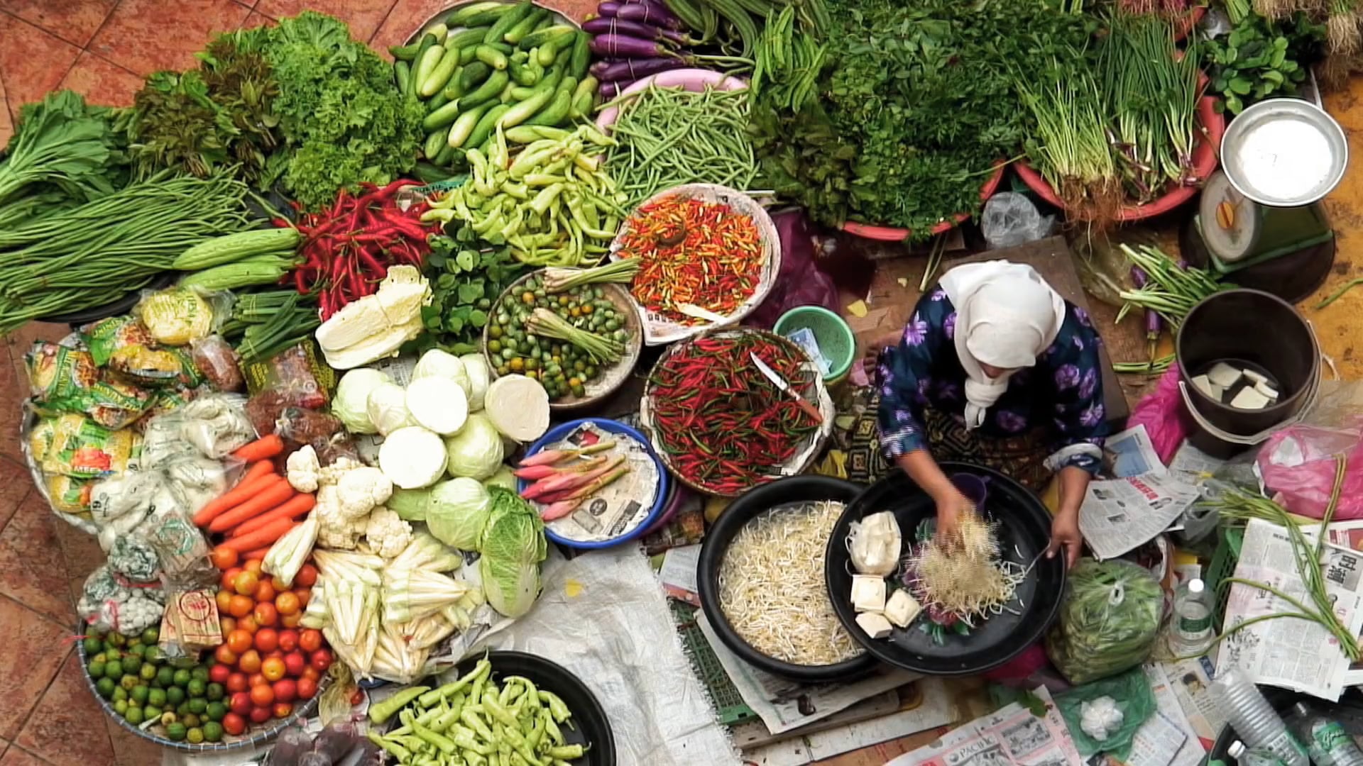 Noodle-Box-Choose-Your-Own-Adventure