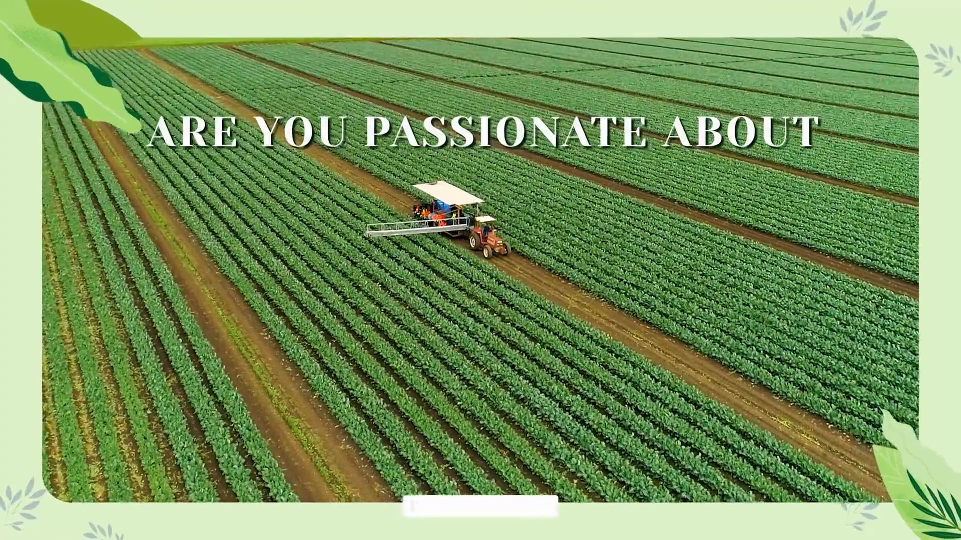 Lockyer-Valley-Foods-Coop