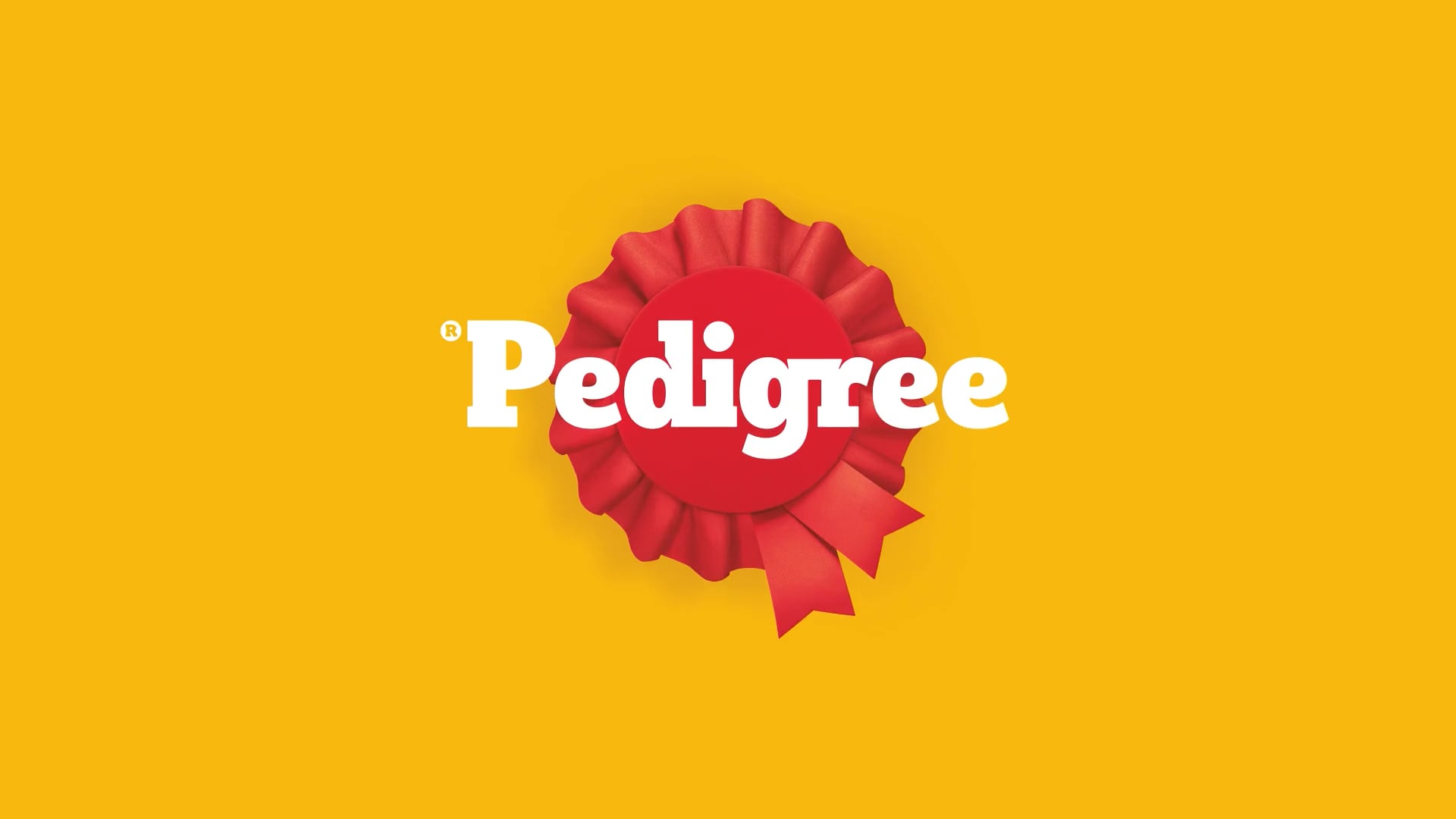 Pedigree-Basic-Tricks