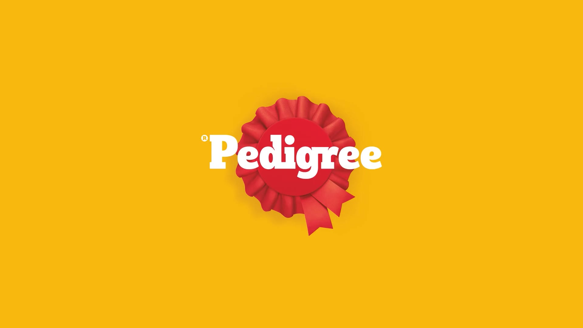 Pedigree-Basic-Tricks