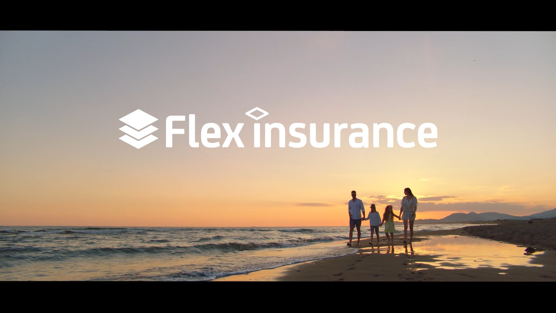 CHU-Insurance-Flex-Basics