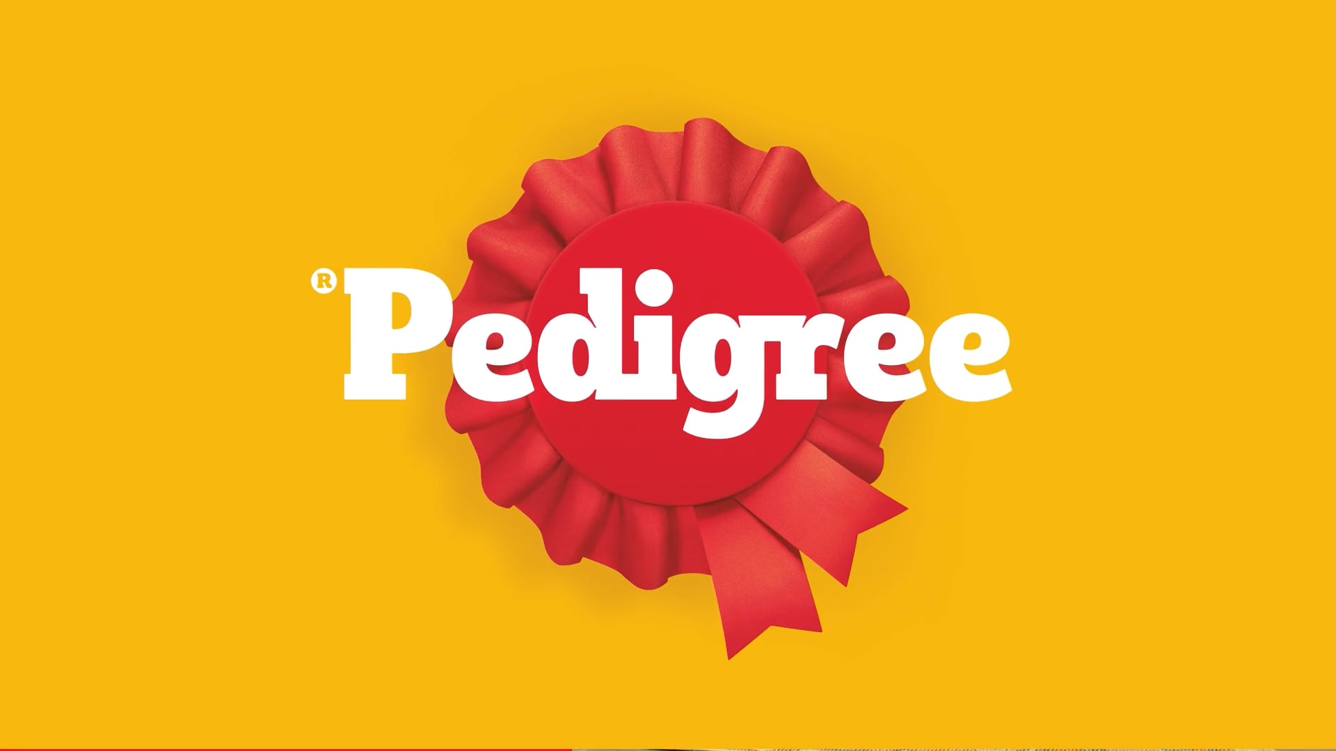 Pedigree-Basic-Tricks