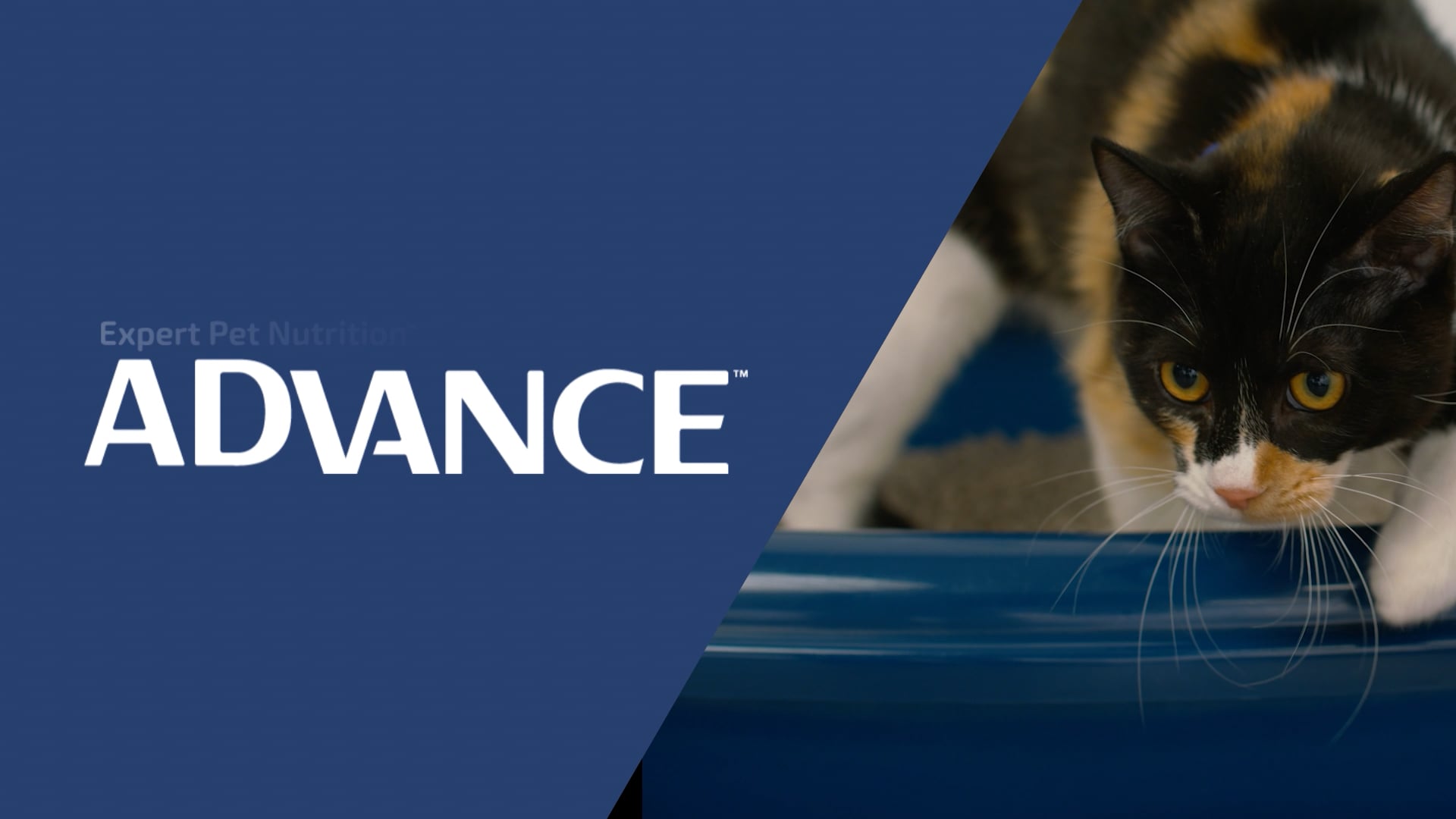 Advance-Litter
