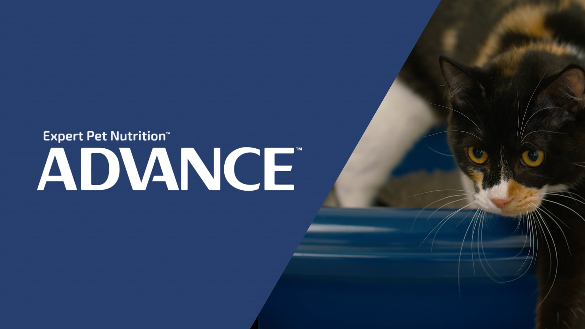 Advance-Litter