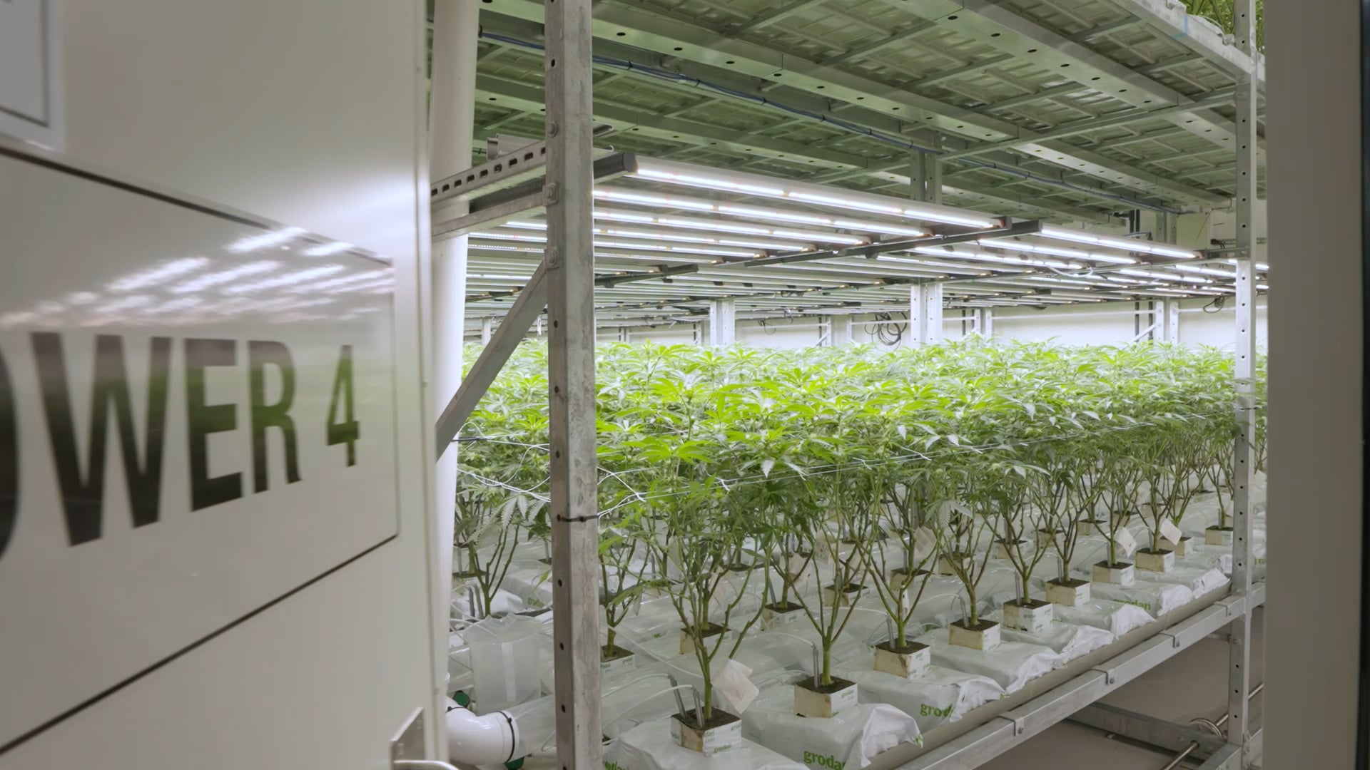Medcan-Aus-Grow-Facility