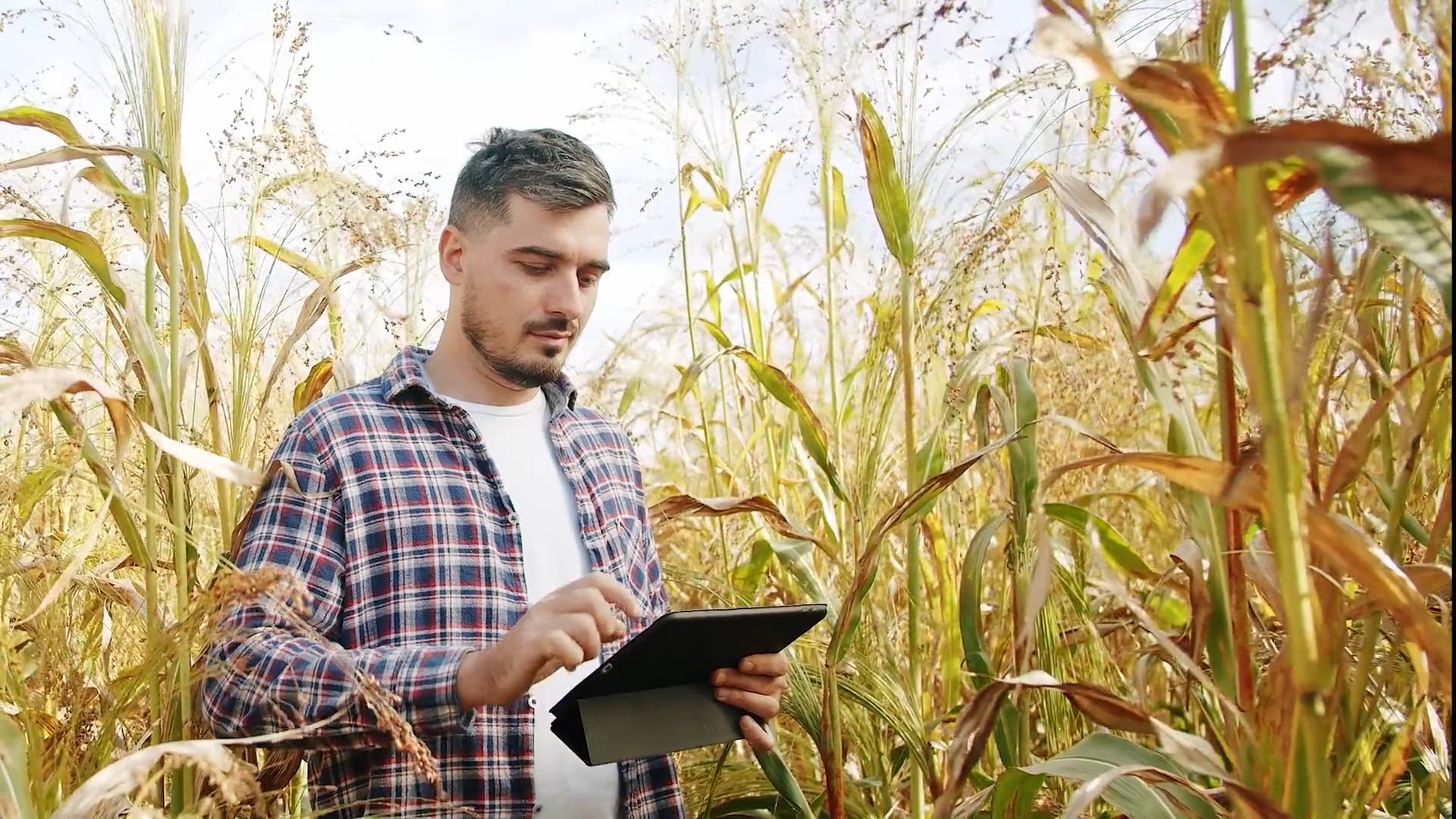 Queensland-Smart-Farms