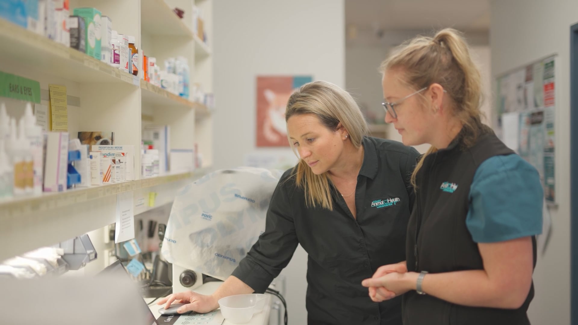 Vet-Partners-Better-Together